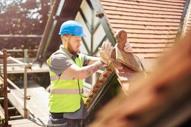 Best Roof Gutter Cleaning  in Cassville, WV